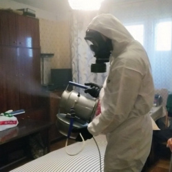 Дезинфекция от клопов в Шали