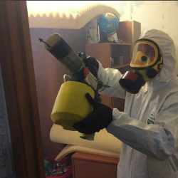 Уничтожение клопов в квартире. Шали
